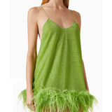 Lumière Plumage Mini Dress