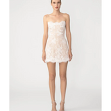 Sasha Lace Mini Dress