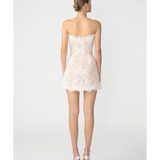 Sasha Lace Mini Dress