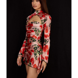 Toira Rose Print Draped Corset Dress