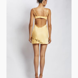 Joslyn Satin Lace Slip Mini Dress