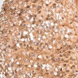 Cleo Champagne Dress