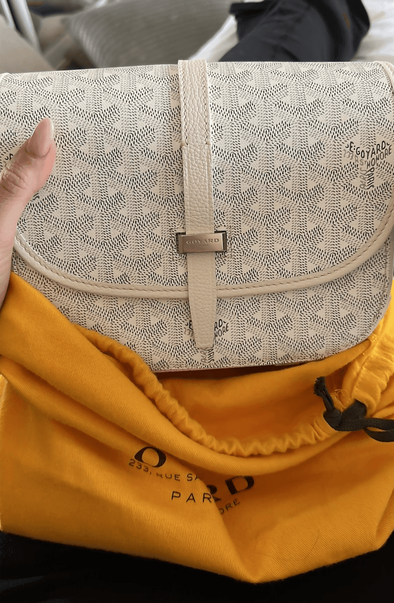 Belvedere Messenger Monogram Chevron Handbag - Endless - UAE Rental and Resale for Women's Fashion