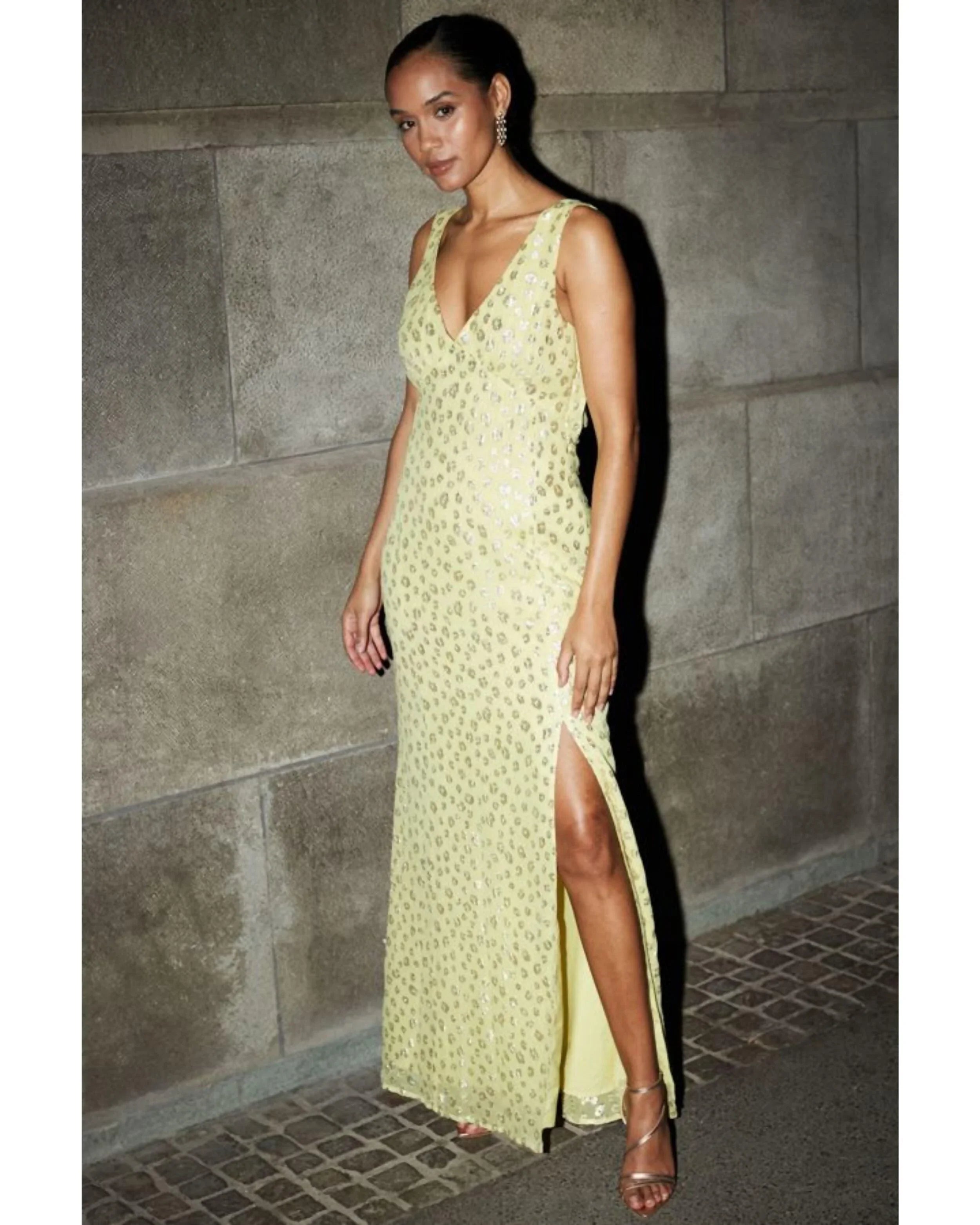 Cowl Back Animal Foil Dress - Endless - UAE Rental and Resale for Women's Fashion