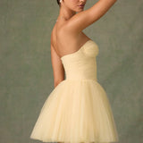 Dottie Tulle Corset Mini Dress