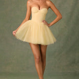 Dottie Tulle Corset Mini Dress