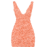 Faena Sorbet Plunge Floral Applique Mini Dress - Endless - UAE Rental and Resale for Women's Fashion
