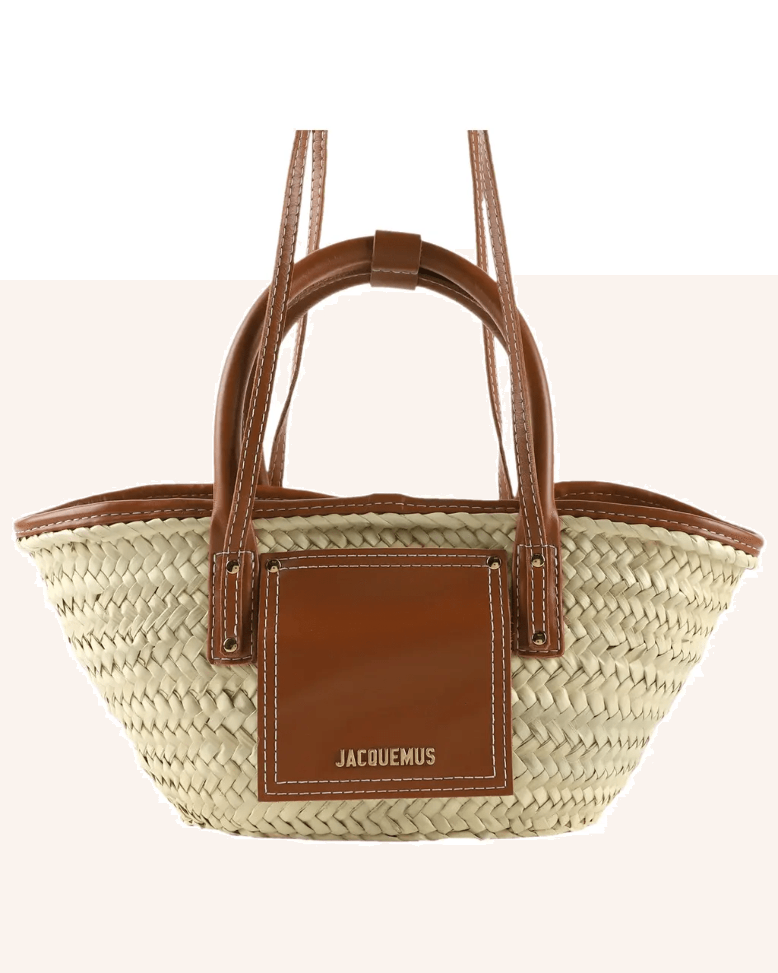 Le Petit Panier Soli Leather-Trimmed Raffia - Endless - UAE Rental and Resale for Women's Fashion