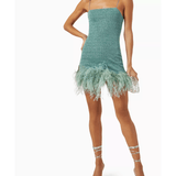 Lumiere Plumage Mini Dress - Endless - UAE Rental and Resale for Women's Fashion