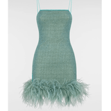 Lumiere Plumage Mini Dress - Endless - UAE Rental and Resale for Women's Fashion