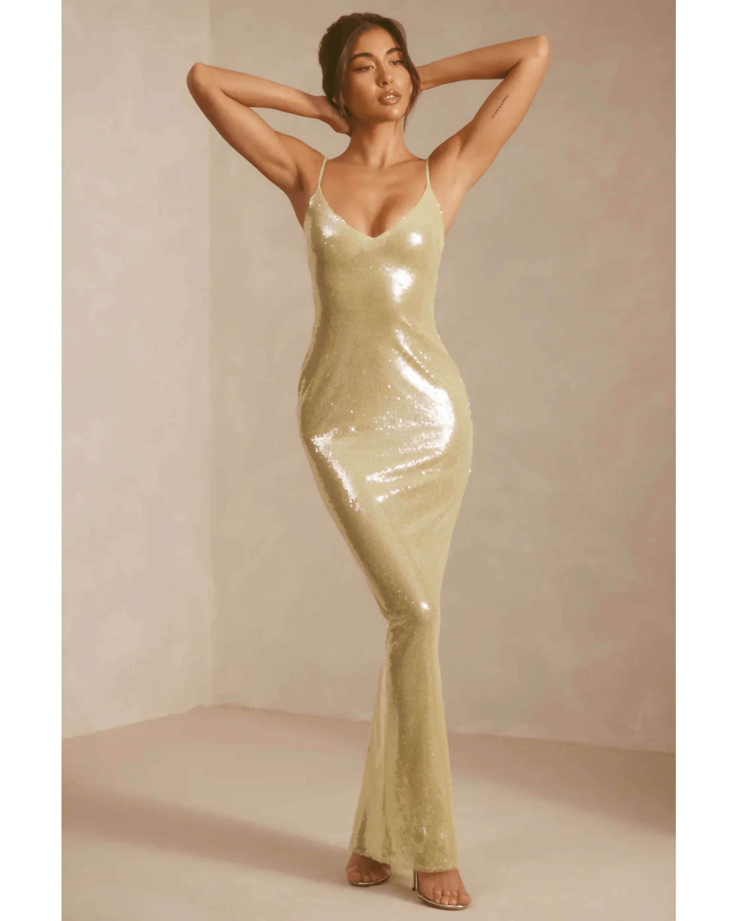 Marlena Sheer Sequin V-Neck Cut Out Back Evening Gown - Endless - UAE Rental and Resale for Women's Fashion