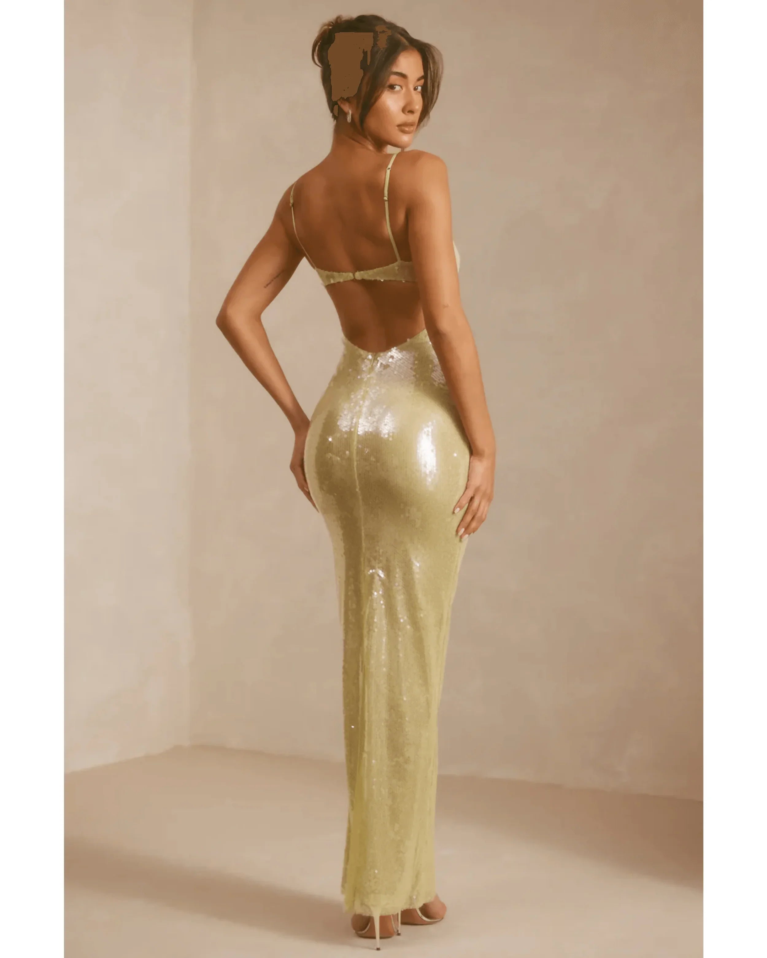 Marlena Sheer Sequin V-Neck Cut Out Back Evening Gown - Endless - UAE Rental and Resale for Women's Fashion