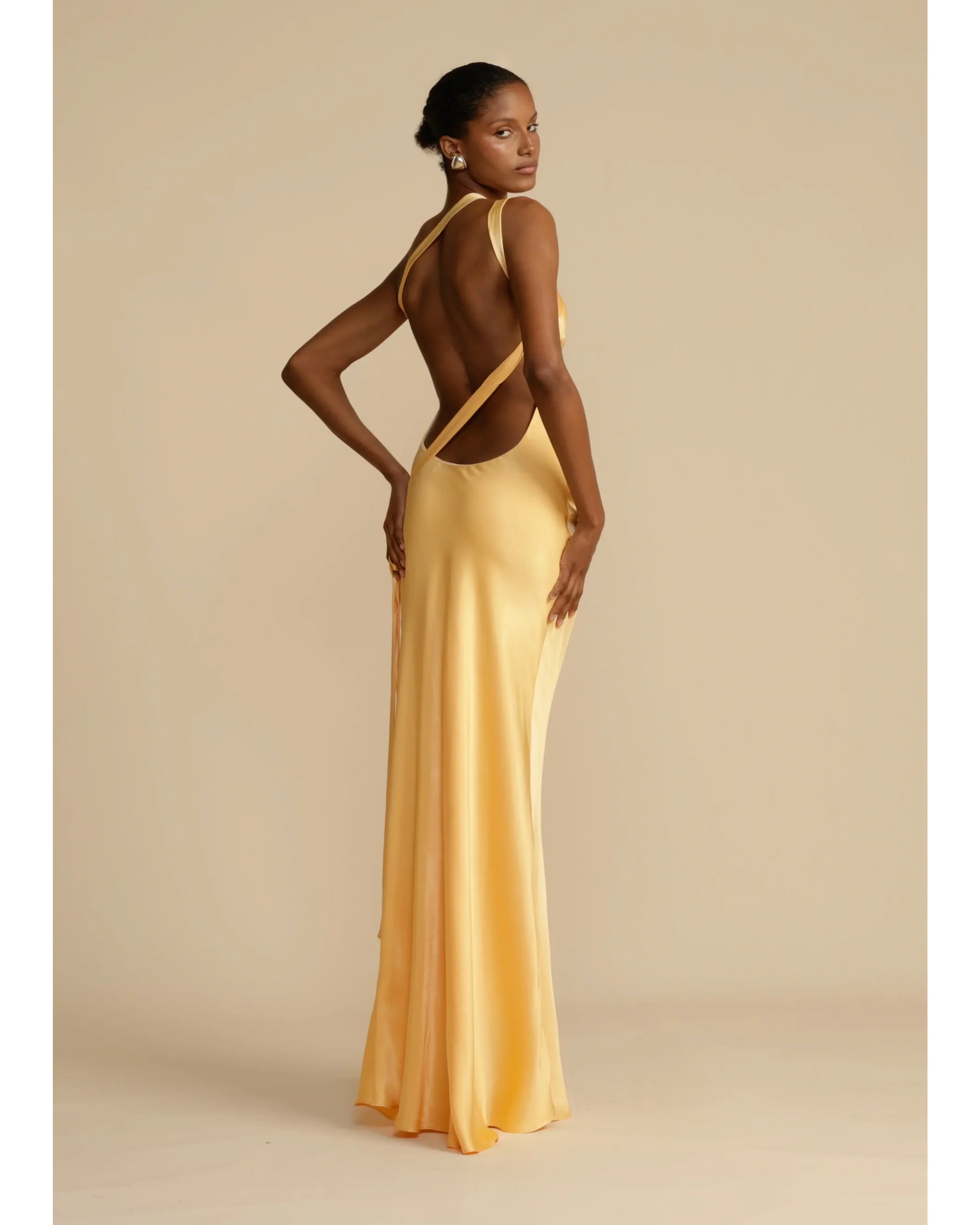 Monique Dress - Endless - UAE Rental and Resale for Women's Fashion