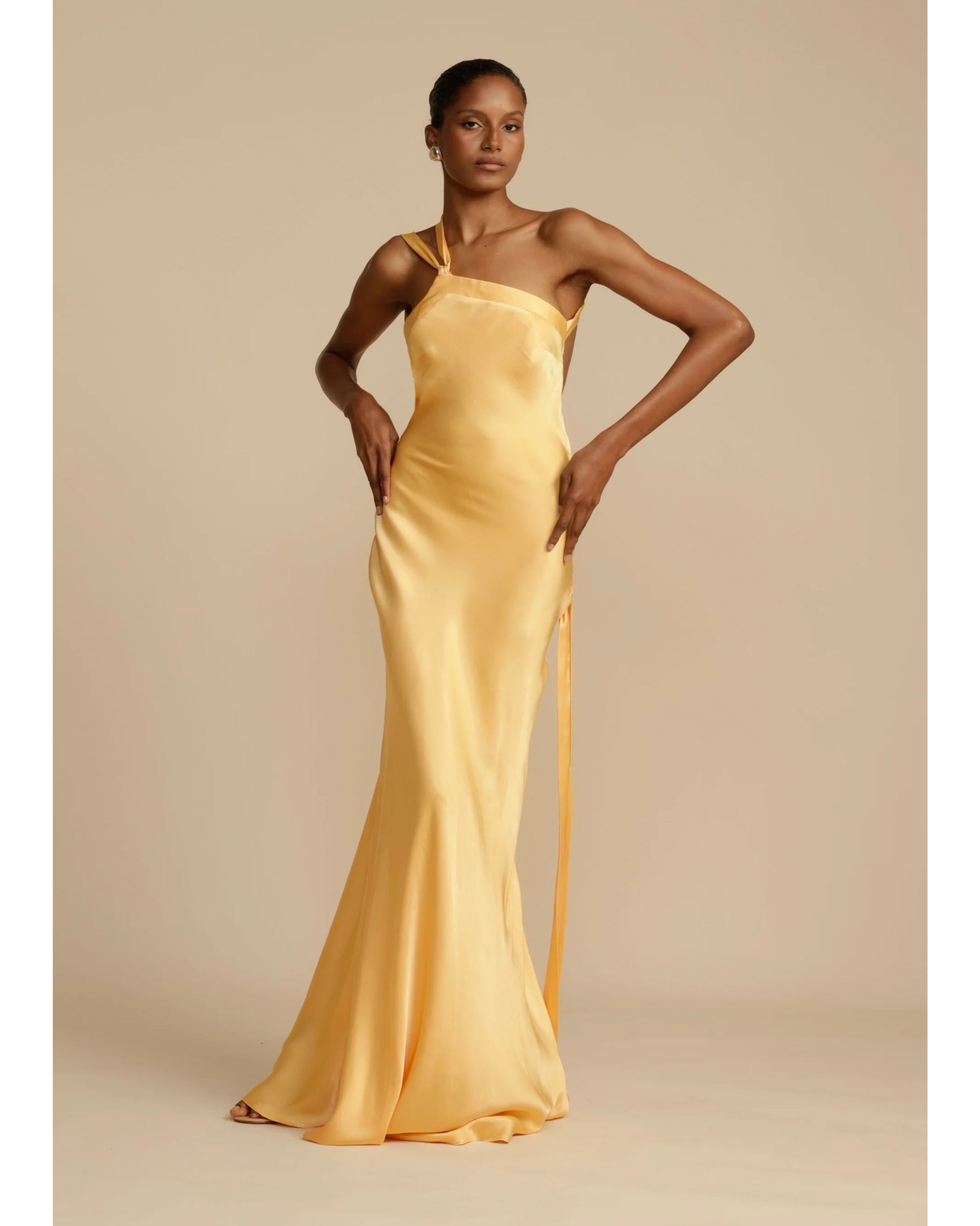 Monique Dress - Endless - UAE Rental and Resale for Women's Fashion