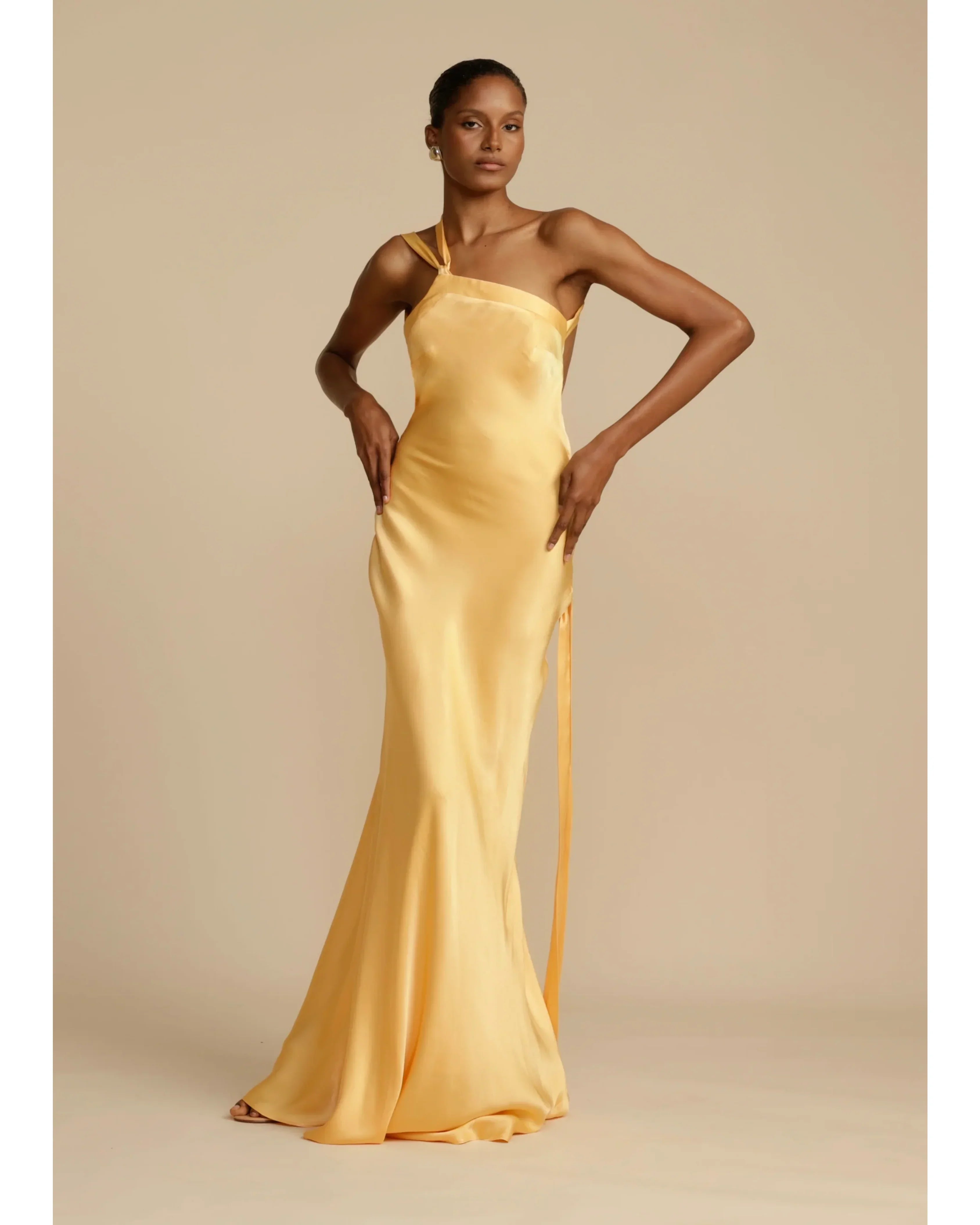 Monique Dress - Endless - UAE Rental and Resale for Women's Fashion