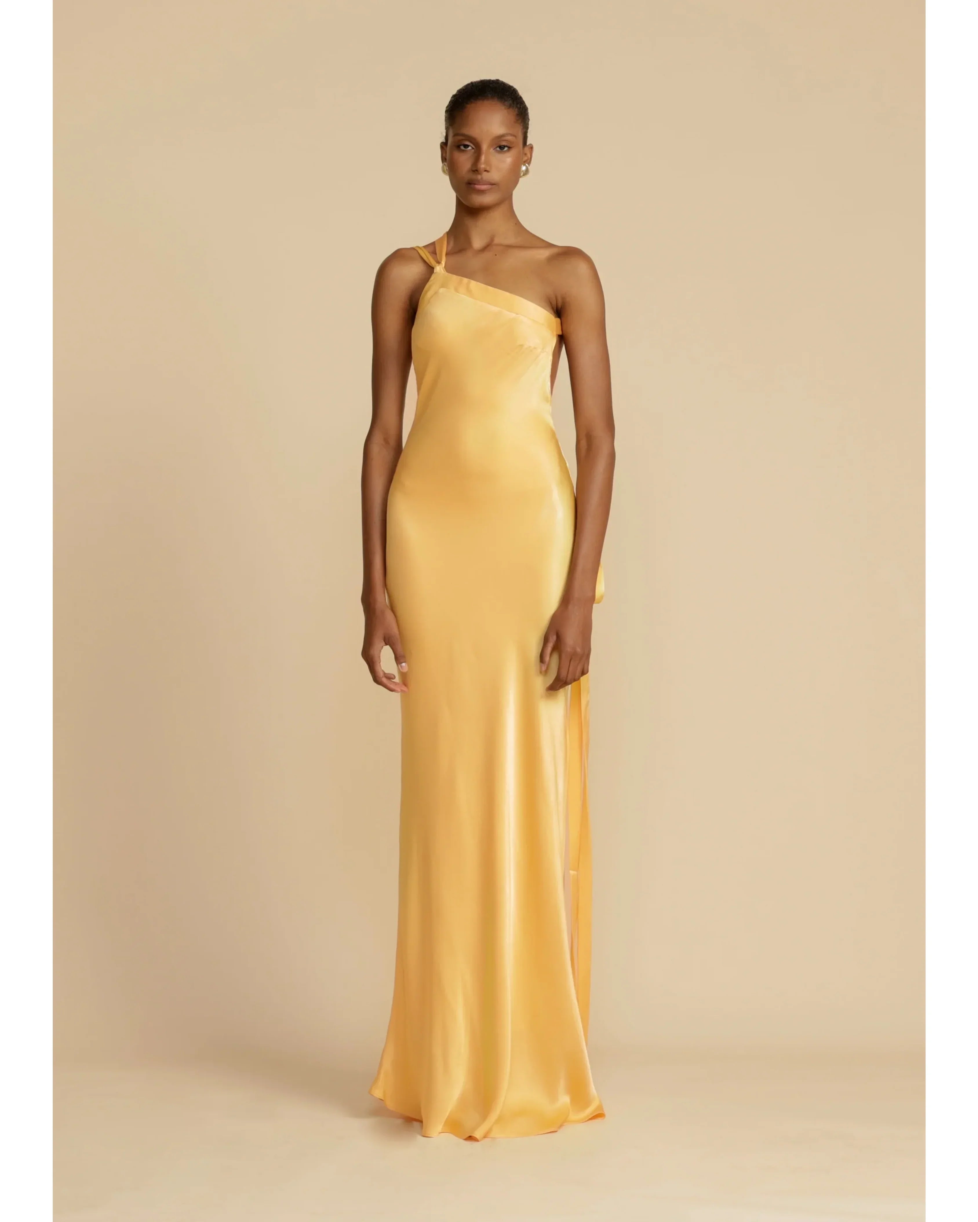 Monique Dress - Endless - UAE Rental and Resale for Women's Fashion