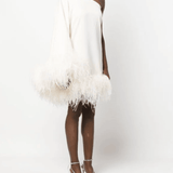 Piccolo Ubud One-Sleeve Feather-Trimmed Crepe Mini Dress - Endless - UAE Rental and Resale for Women's Fashion