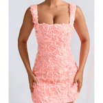 Posy Floral-Applique Corset Mini Dress - Endless - UAE Rental and Resale for Women's Fashion