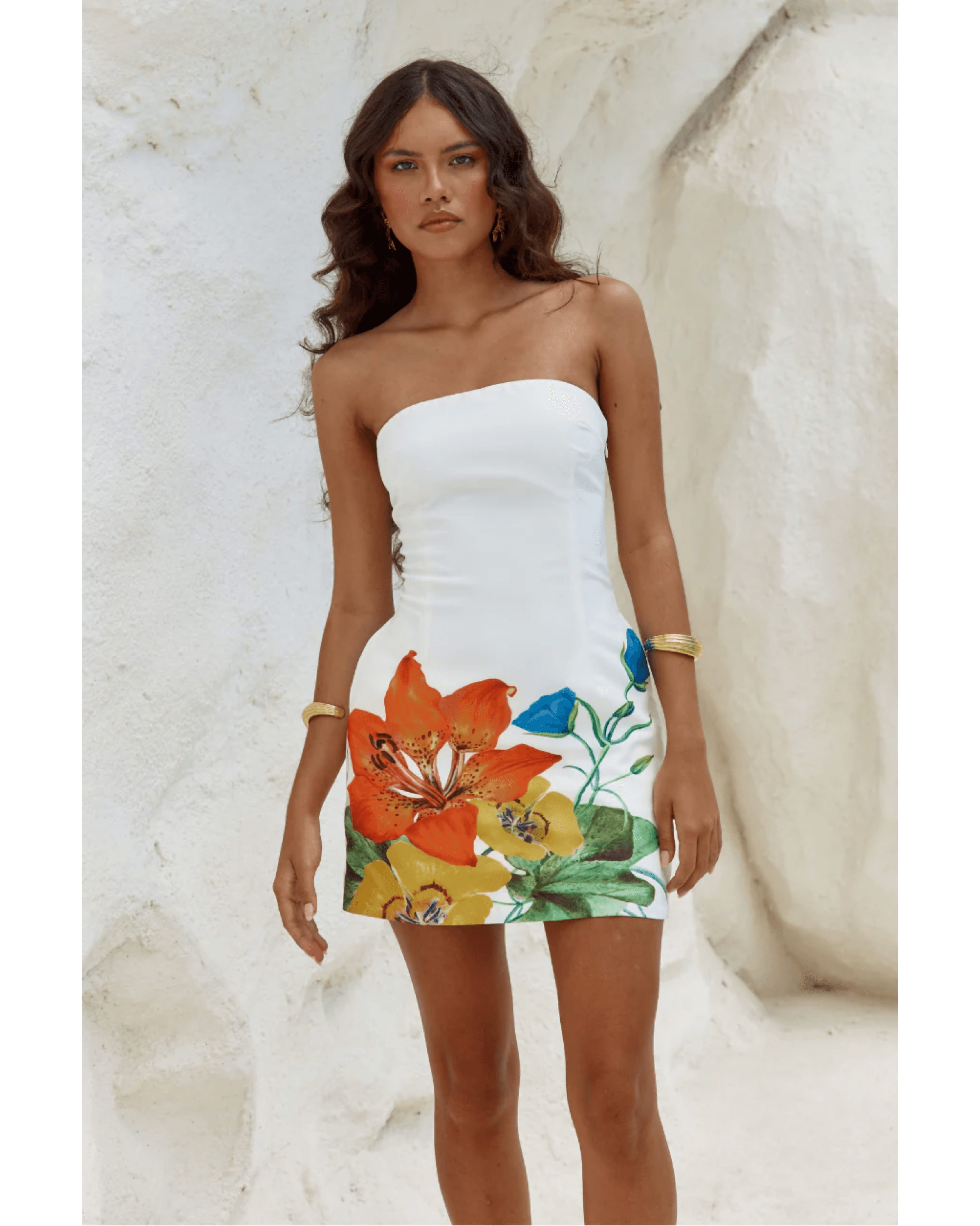 Primrose Mini Dress - Endless - UAE Rental and Resale for Women's Fashion