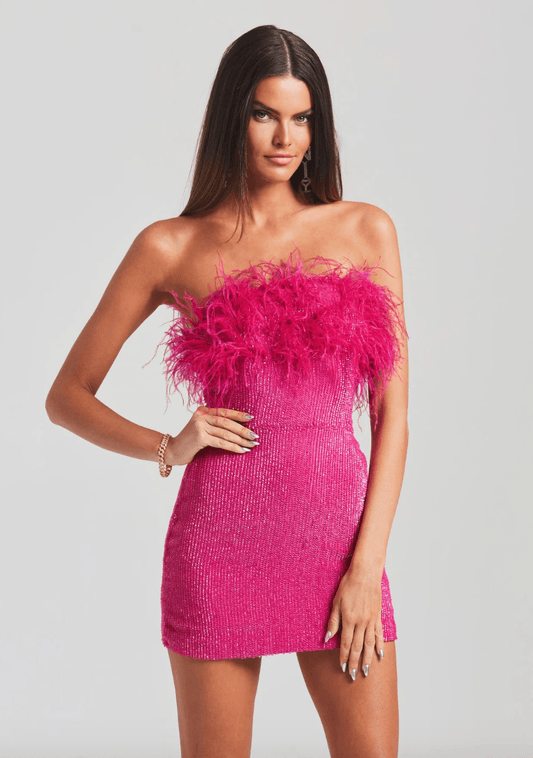 Torin Sequin Feather Dress in Hot Pink - Endless