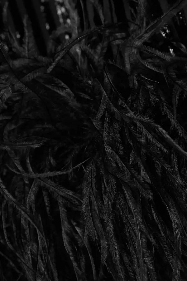 Black feather-trimmed devore dress with high neckline on model — Taller Marmo | Endless UAE