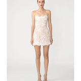 Sasha Lace Mini Dress