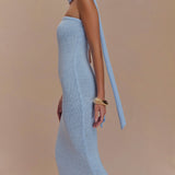 Andrea Strapless Knit Maxi Dress