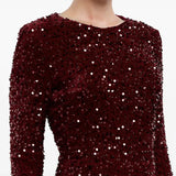 Sequin Decorated Velvet Long Sleeve Midi Dress