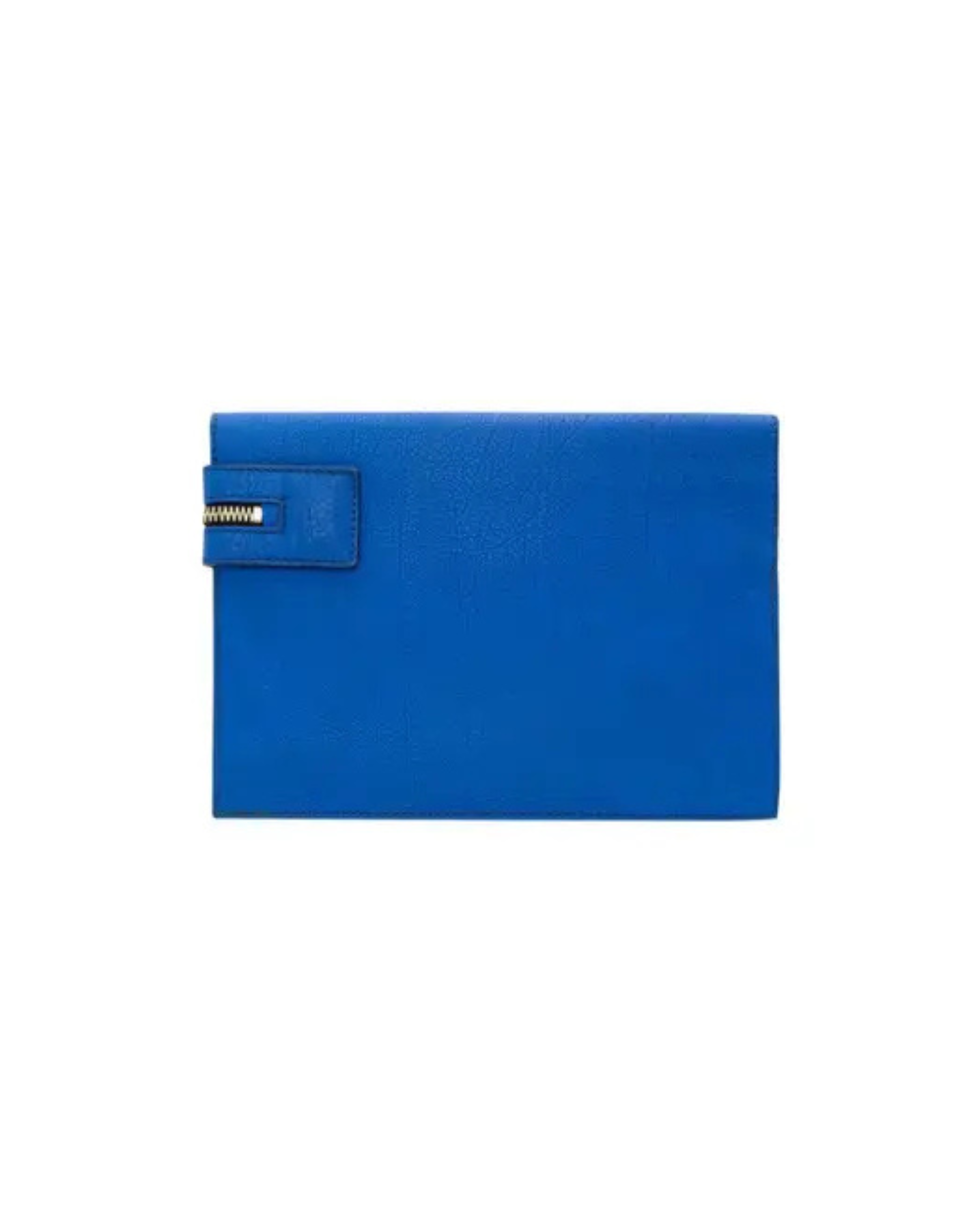 Blue snakeskin clutch with gold zip detail — Victoria Beckham | Endless UAE