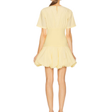 Libbie Short Sleeve Mini Dress