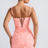 Posy Floral-Appliqué Corset Mini Dress