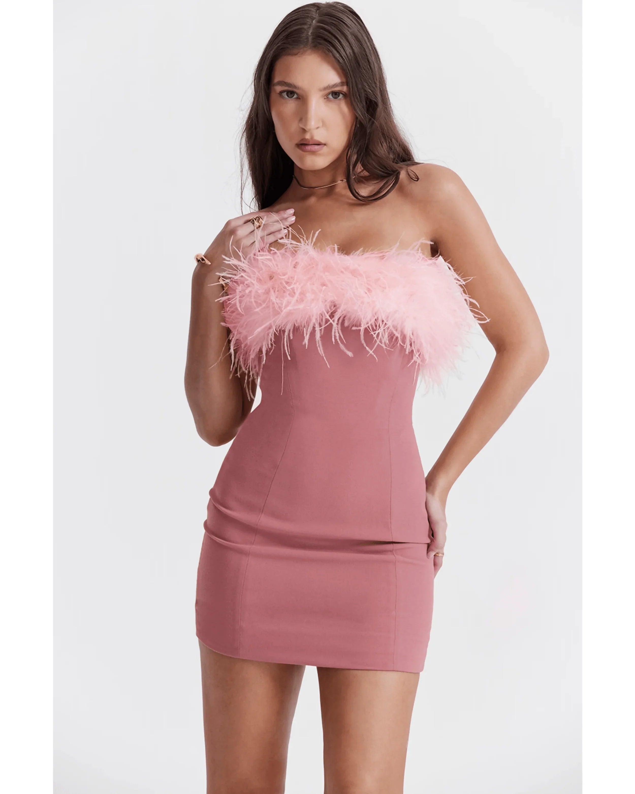 Alexa Warm Pink Mini Dress - Endless - UAE Rental and Resale for Women's Fashion