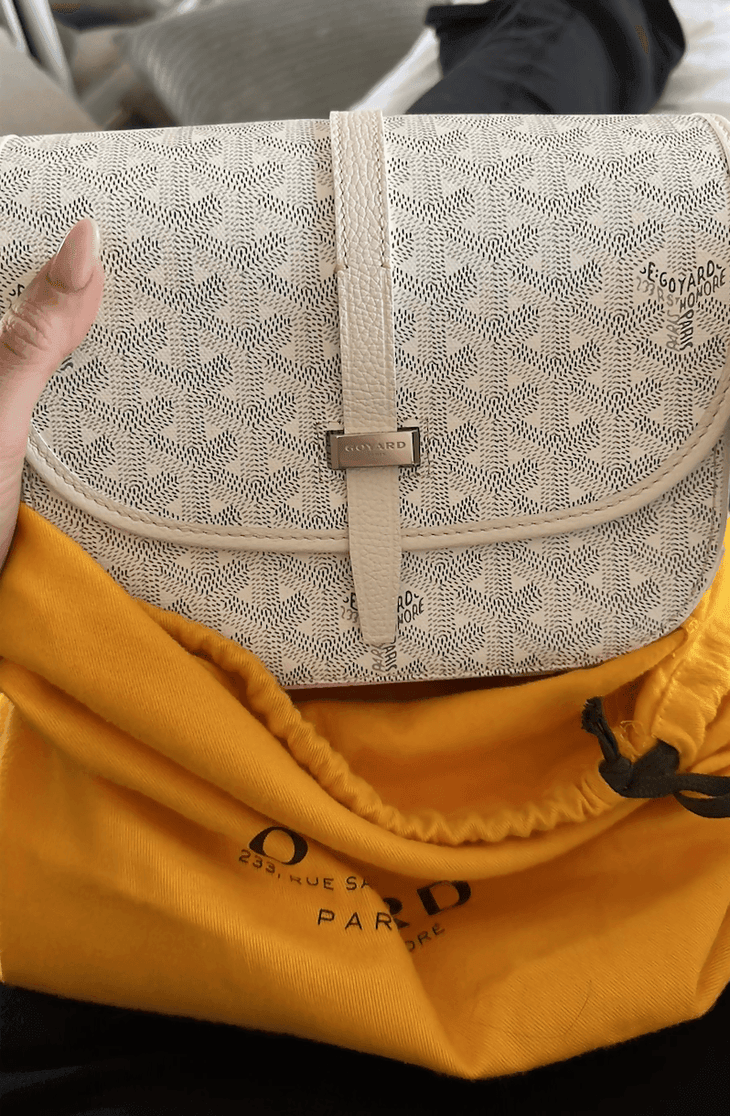Belvedere Messenger Monogram Chevron Handbag - Endless - UAE Rental and Resale for Women's Fashion