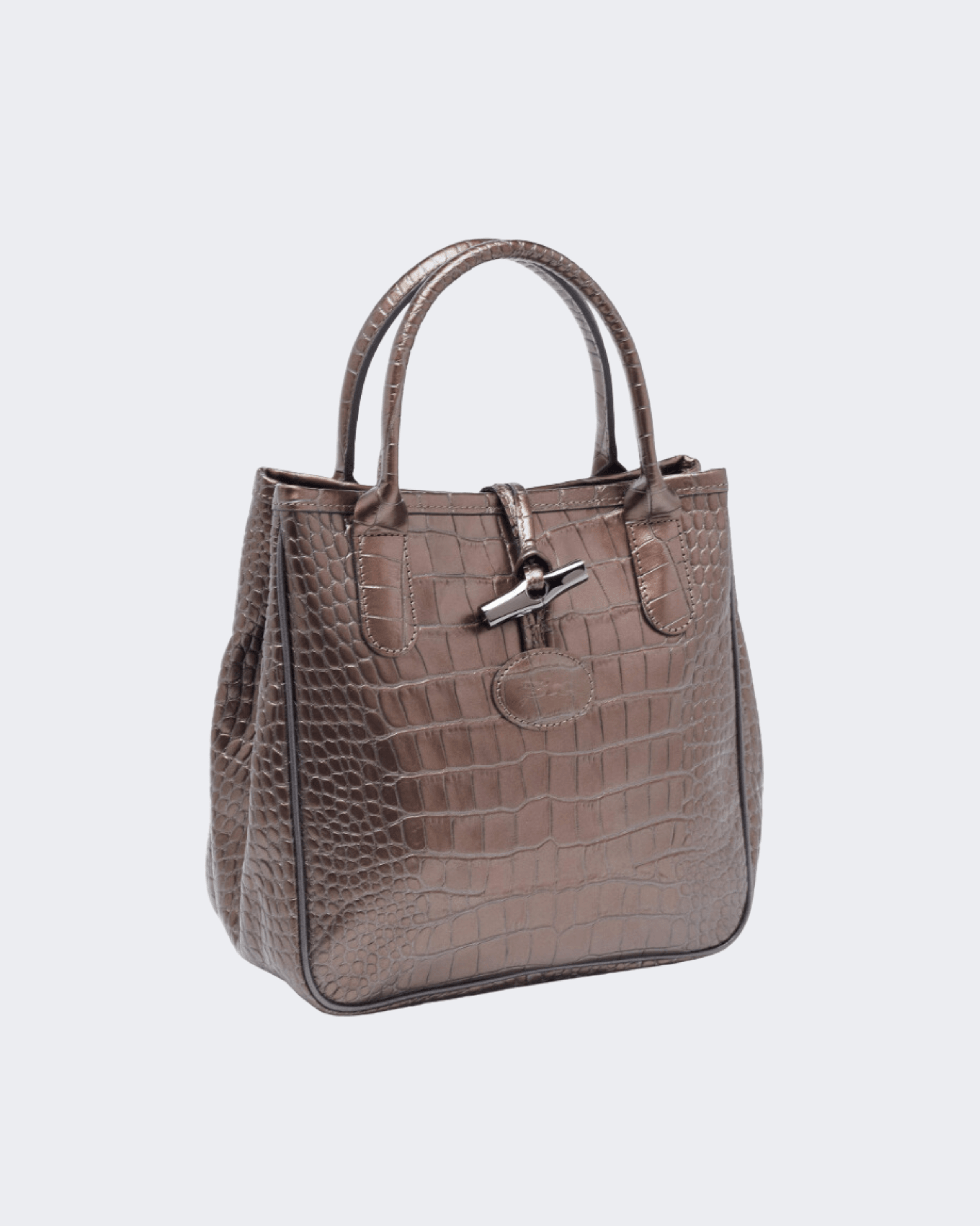 Brown Glaze Croc Embossed Leather Roseau Tote - Endless - UAE Rental and Resale for Women's Fashion