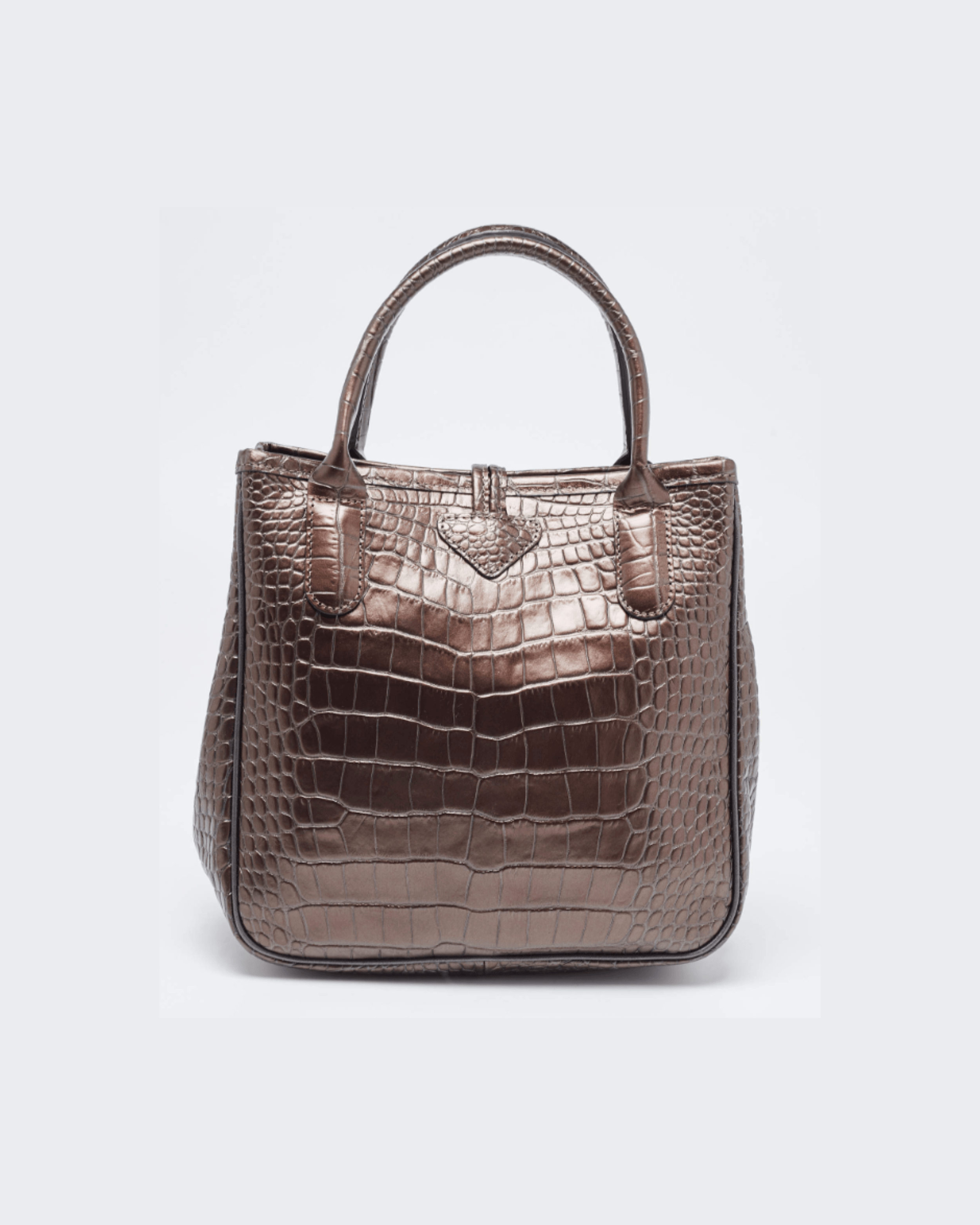 Brown Glaze Croc Embossed Leather Roseau Tote - Endless - UAE Rental and Resale for Women's Fashion