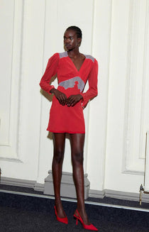 Cinnamon Mini Dress - Endless - UAE Rental and Resale for Women's Fashion