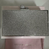 Clara Embellished Box Bag - Endless - UAE Rental and Resale for Women's Fashion