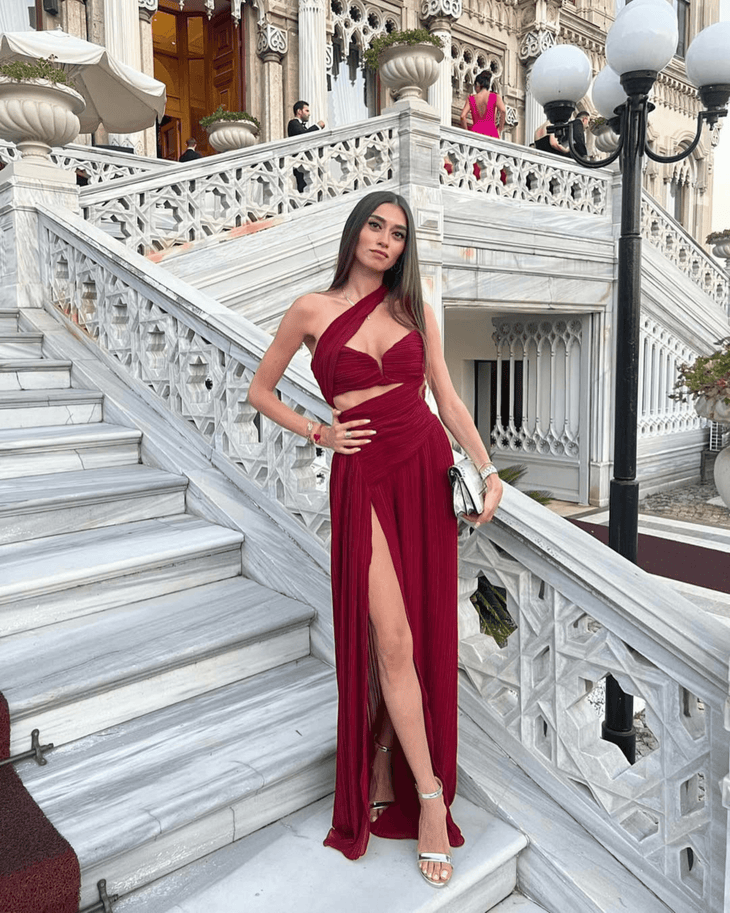 Claudia Dress - Endless - UAE Rental and Resale for Women's Fashion