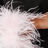 Feather-trimmed Mini Dress in Crepe - Endless - UAE Rental and Resale for Women's Fashion