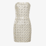Heather Sequin Dress in Silver - Endless - UAE Rental and Resale for Women's Fashion