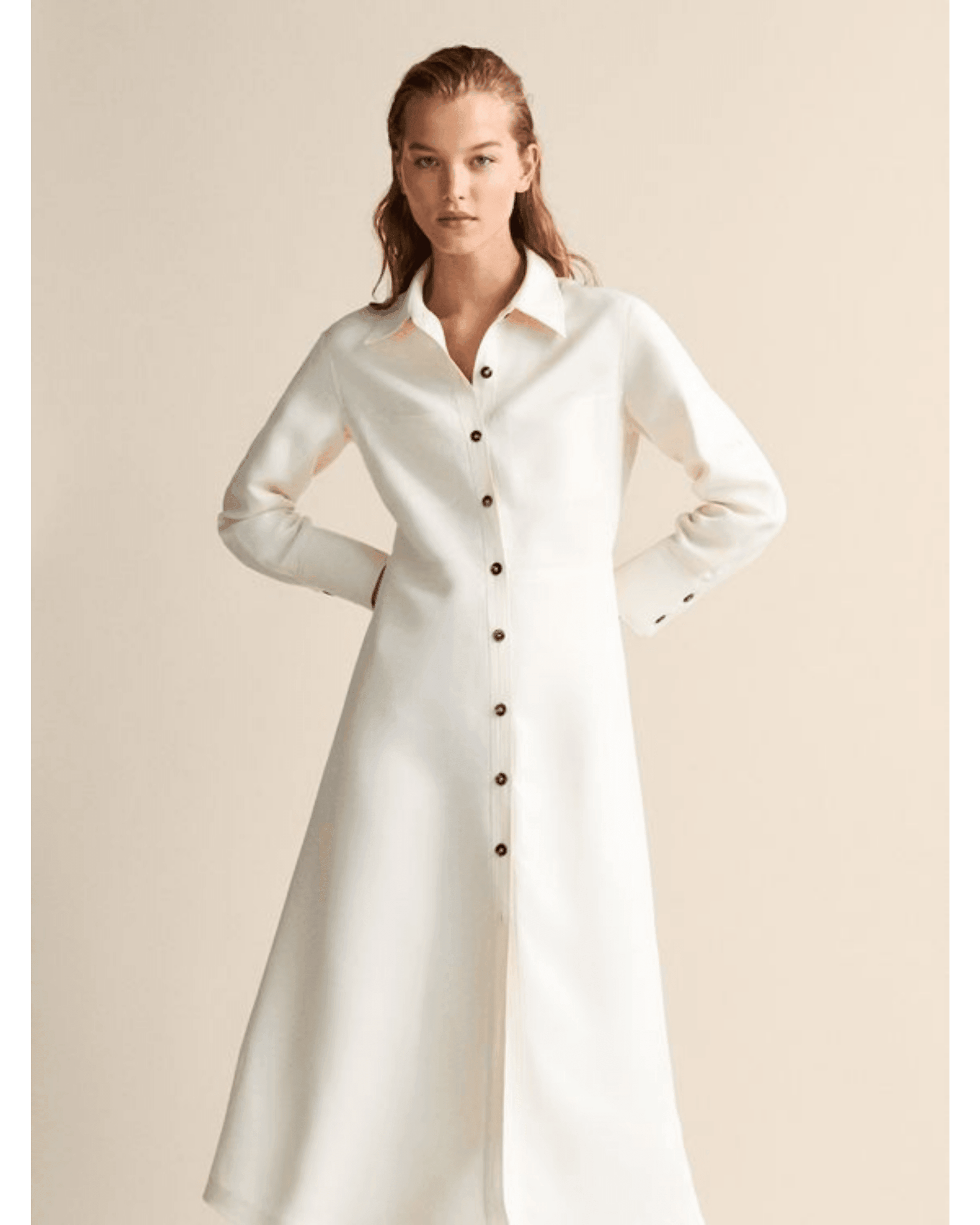 Massimo dutti shirt dress online