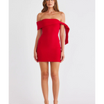 Jaymes Mini Dress - Endless - UAE Rental and Resale for Women's Fashion