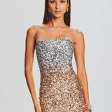 Katalina Sequin Dress - Endless - UAE Rental and Resale for Women's Fashion