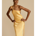 Monique Dress - Endless - UAE Rental and Resale for Women's Fashion