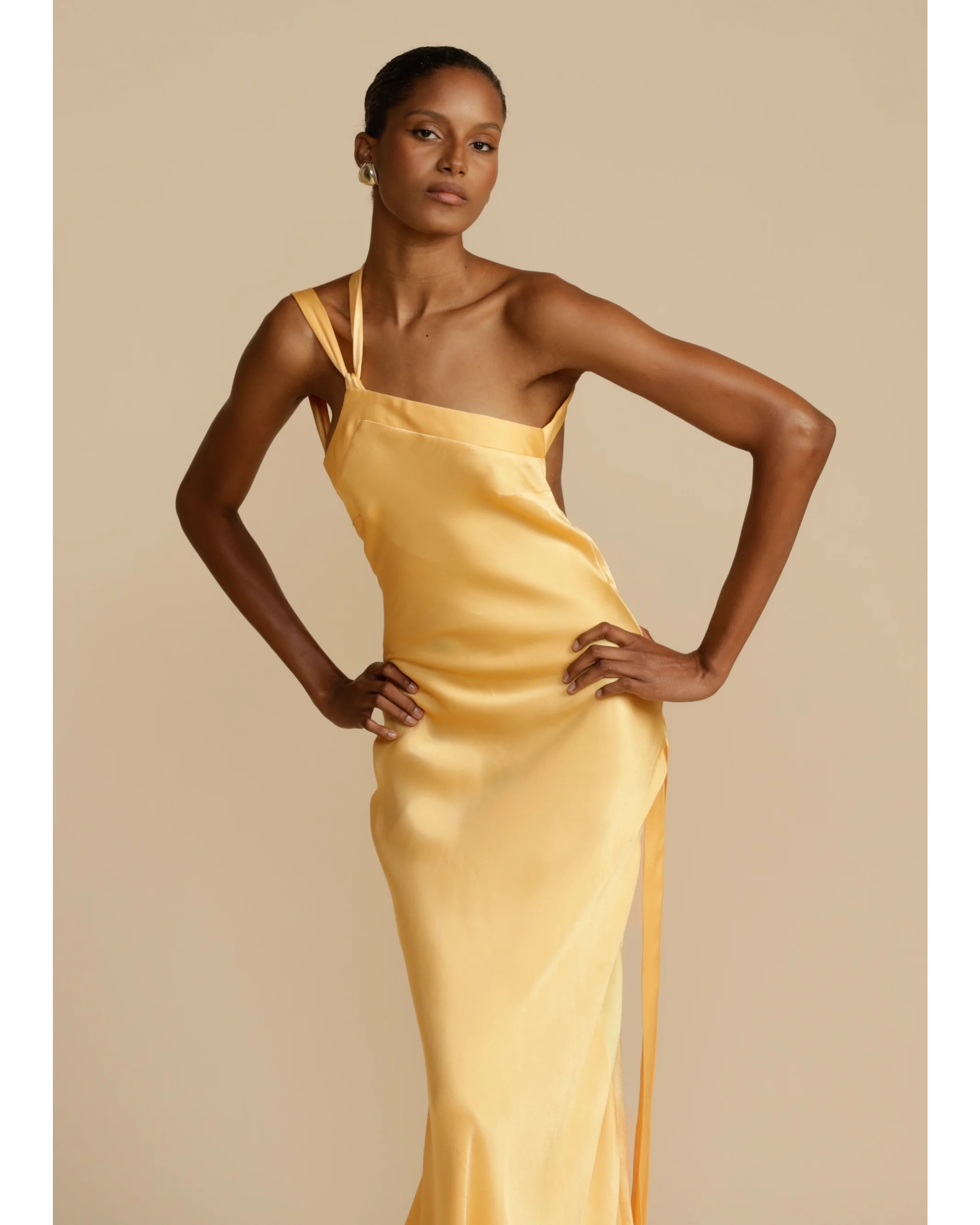 Monique Dress - Endless - UAE Rental and Resale for Women's Fashion