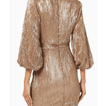Ruby Holley Pleated Sequin Dress - Endless - UAE Rental and Resale for Women's Fashion