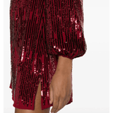 Samantha Sequinned Mini Dress - Endless - UAE Rental and Resale for Women's Fashion