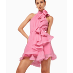 Swan Mini Dress - Endless - UAE Rental and Resale for Women's Fashion