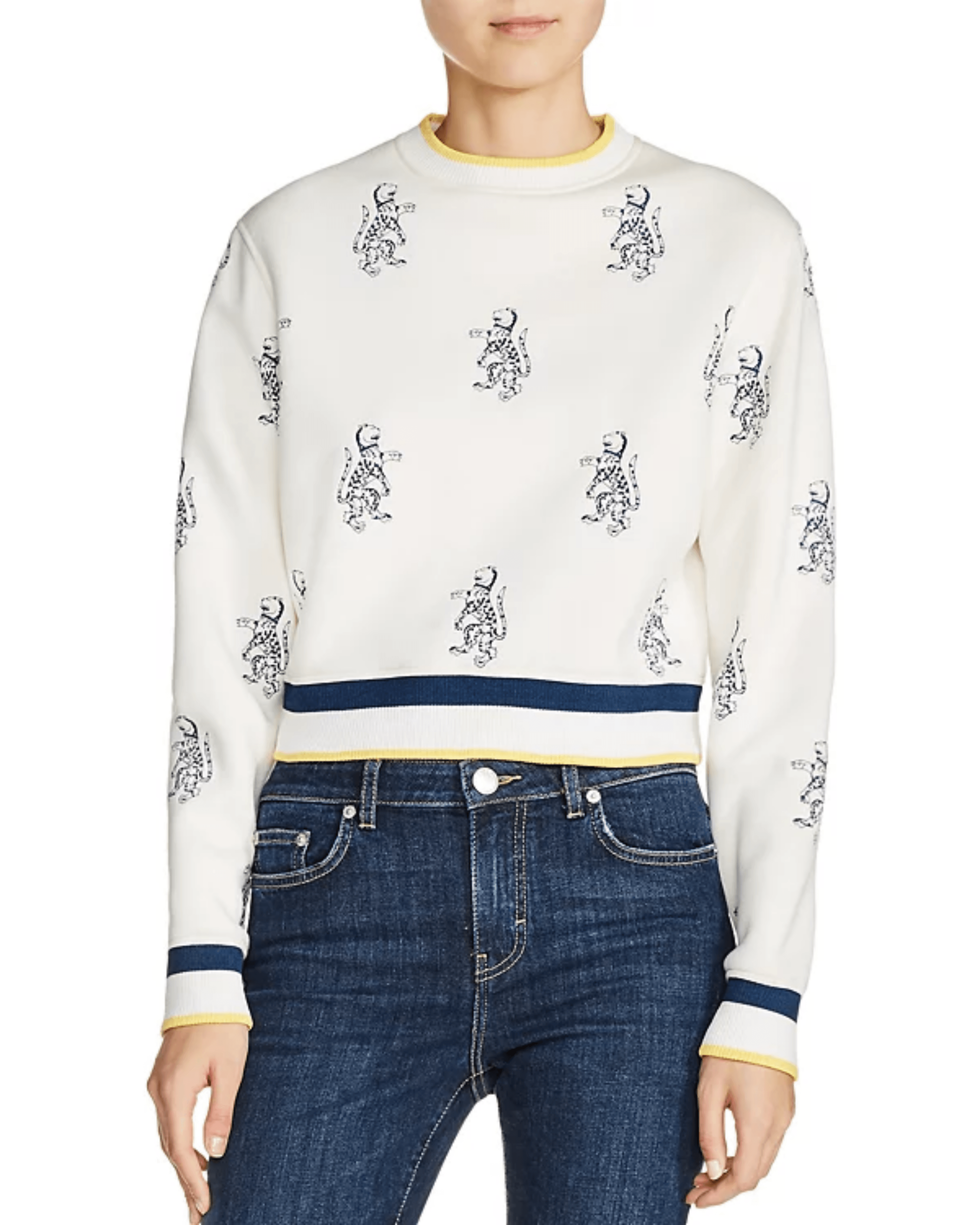 Tentation Leopard-Embroidered Sweatshirt - Endless - UAE Rental and Resale for Women's Fashion