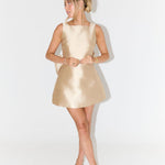 The Ultimate Muse Bow Detail Mini Dress - Endless - UAE Rental and Resale for Women's Fashion